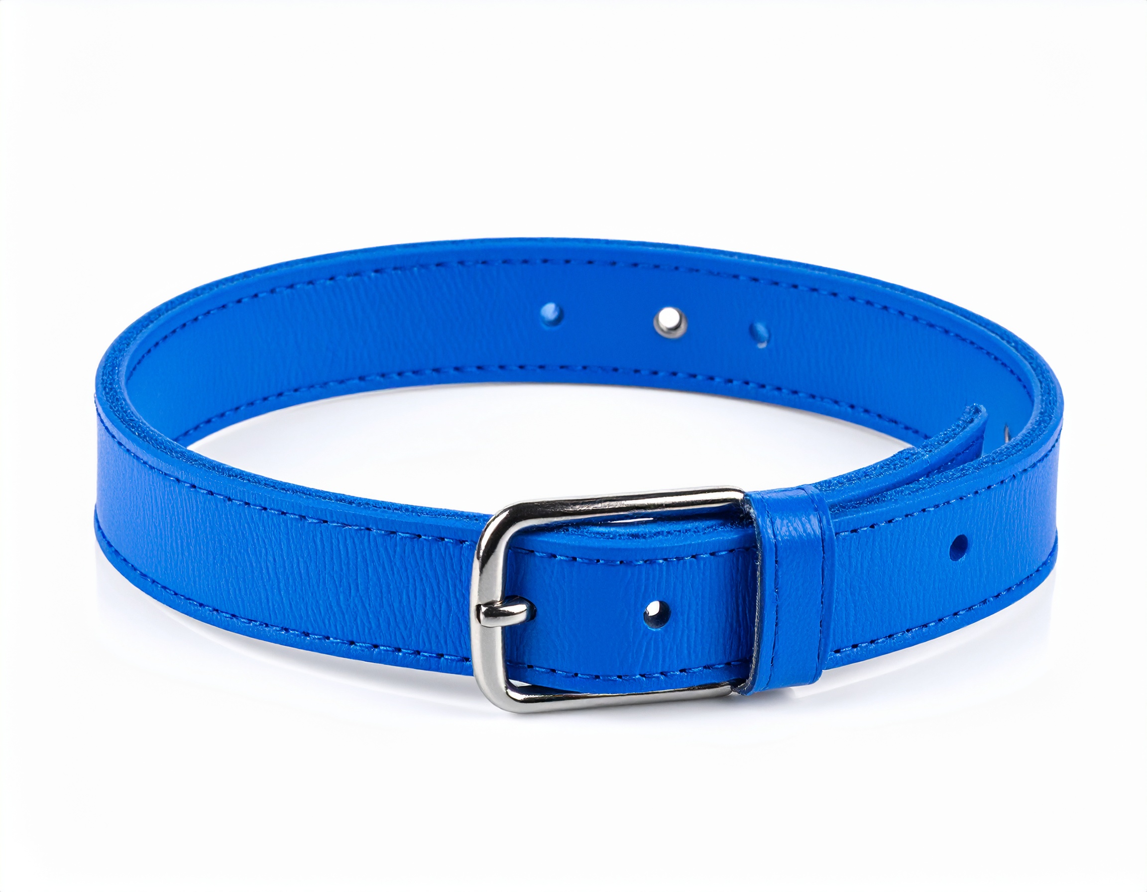 1/2" Small Buckle Collar